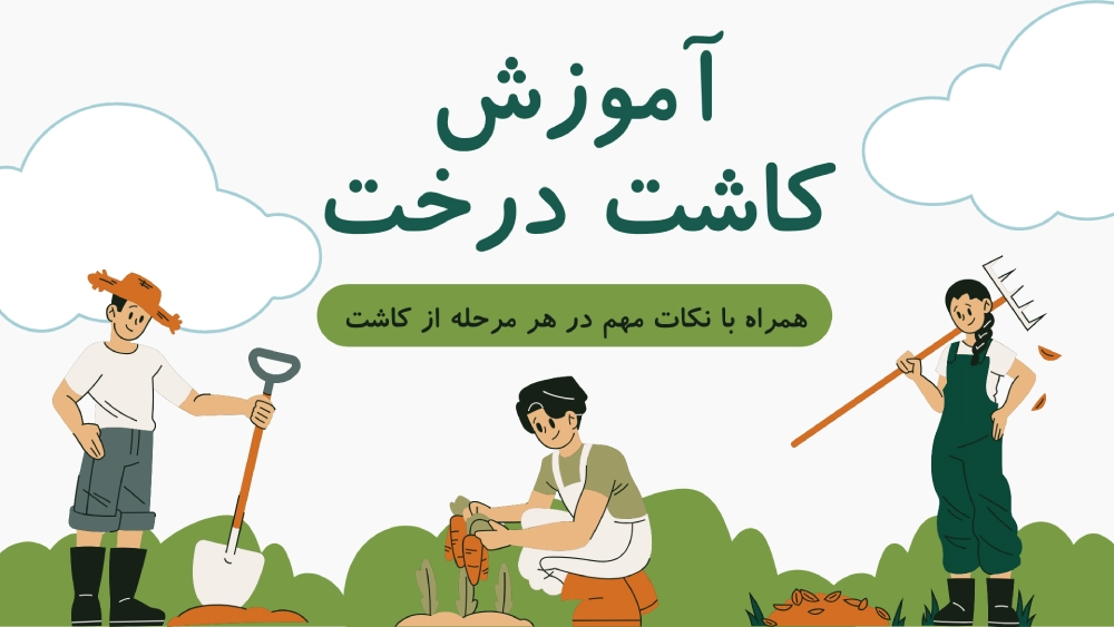 آموزش کاشت درخت همراه با نکات مهم در هر مرحله از کاشت