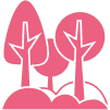 طراحی فضای سبز
