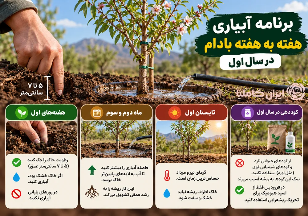 جابجایی درخت بادام