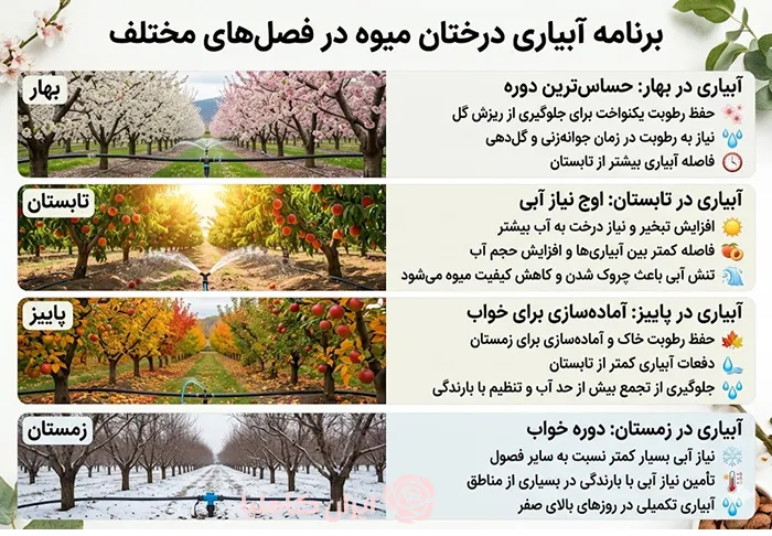 بهترین روش آبیاری درختان میوه