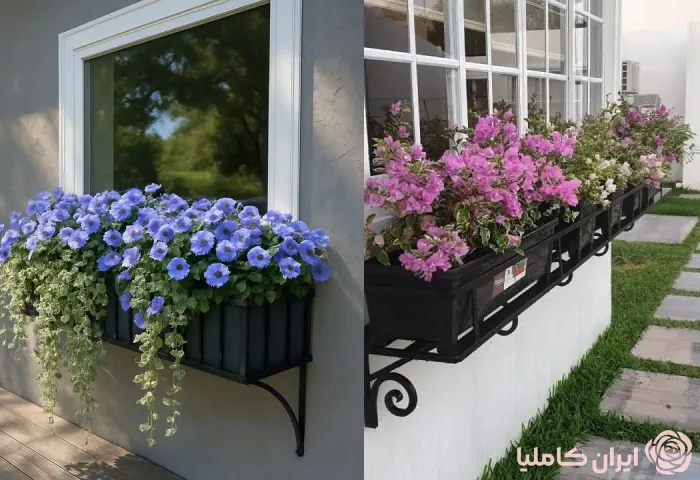 فلاورباکس پلاستیکی
