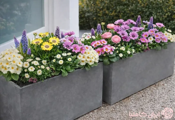 فلاورباکس بتنی
