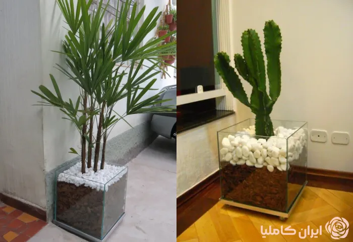 فلاورباکس شیشه ای