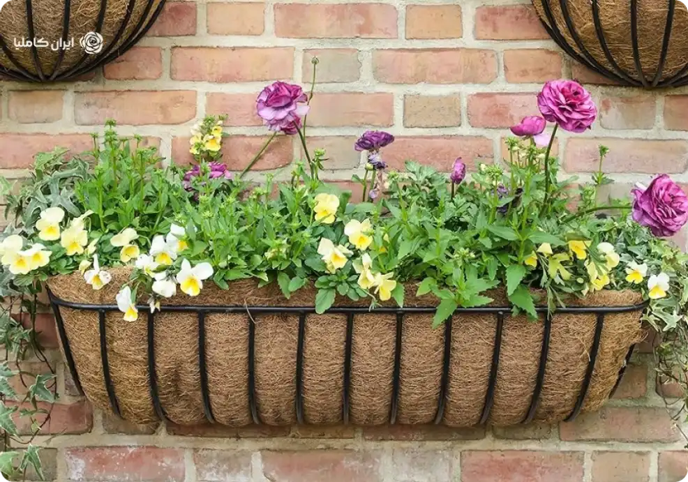 فلاورباکس دیواری